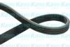 KAVO PARTS DMV-1516 V-Ribbed Belts